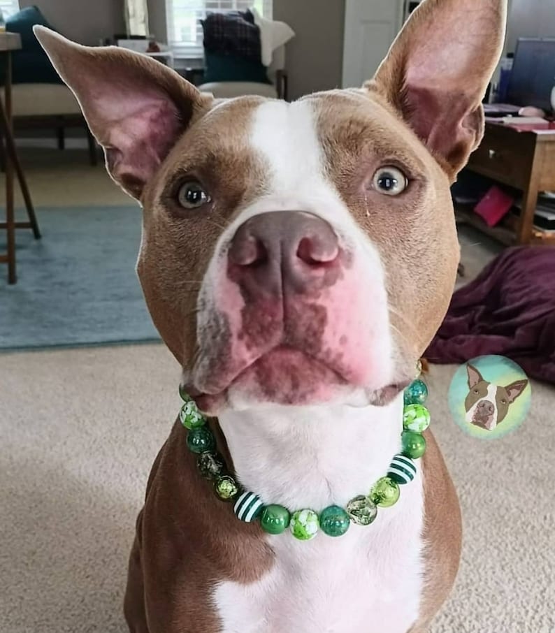 Shades Of Green - Beaded Dog Collar, Martingale, Big Dog, Unbreakable, High Tensile Strength, O Ring, Slip On, image 5