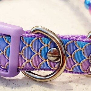 May include: Purple and blue patterned dog collar with a silver buckle and two silver D-rings.