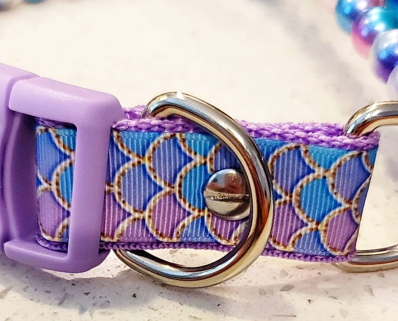 May include: Purple and blue patterned dog collar with a silver buckle and two silver D-rings.