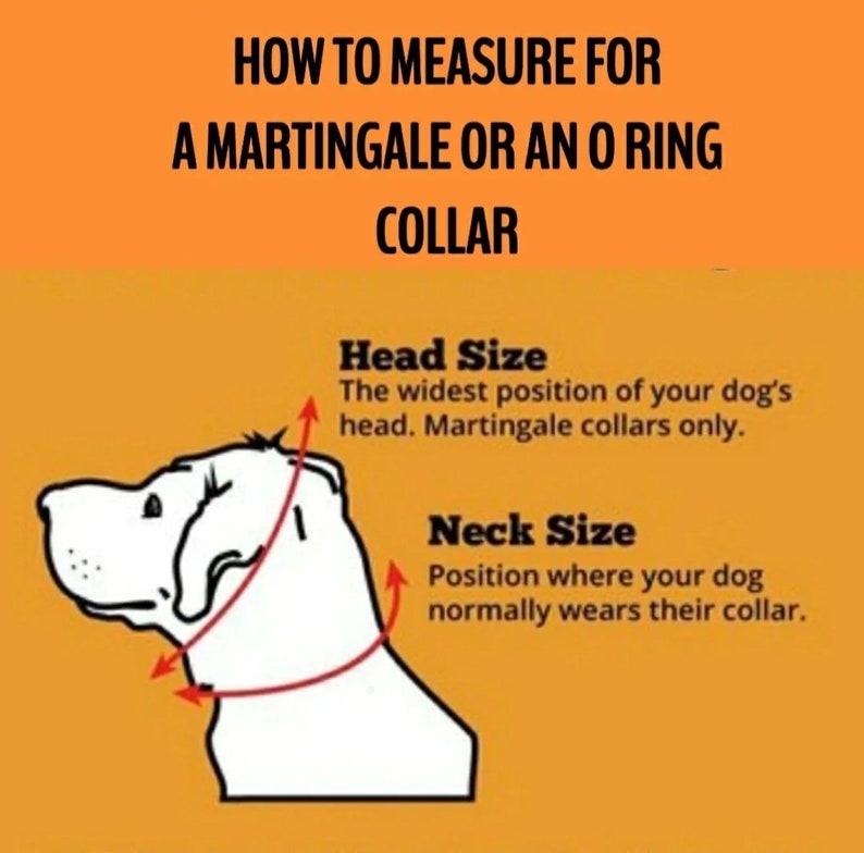 Shades Of Green - Beaded Dog Collar, Martingale, Big Dog, Unbreakable, High Tensile Strength, O Ring, Slip On, image 8