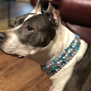 May include: A white and gray pit bull dog wearing a multi-layered beaded collar with pink, blue, and silver beads.