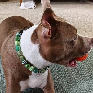 Shades Of Green - Beaded Dog Collar, Martingale, Big Dog, Unbreakable, High Tensile Strength, O Ring, Slip On, image 6