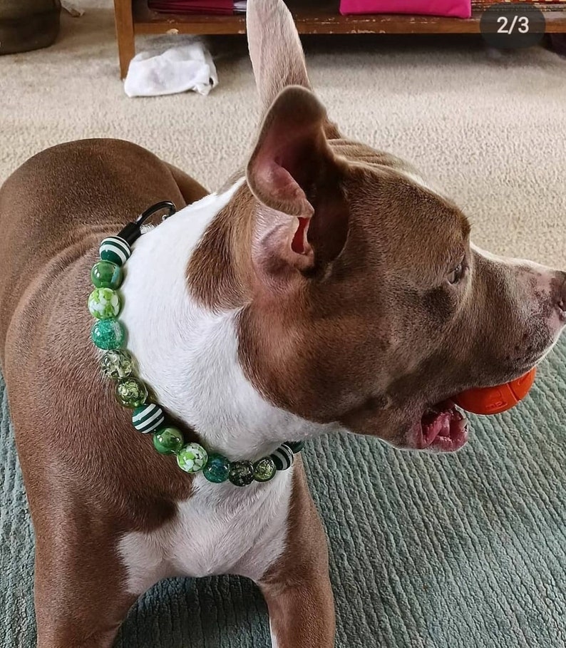 Shades Of Green - Beaded Dog Collar, Martingale, Big Dog, Unbreakable, High Tensile Strength, O Ring, Slip On, image 6