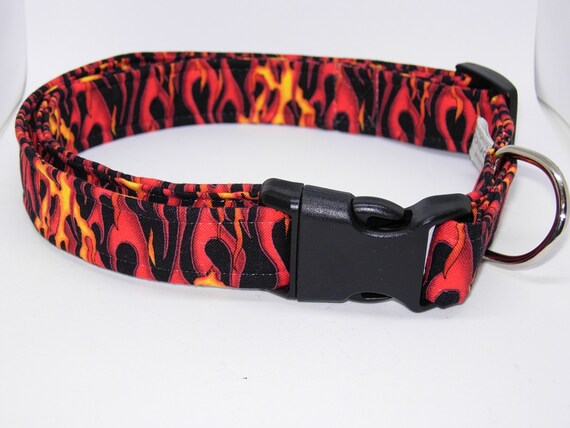 Awesome top dog collars