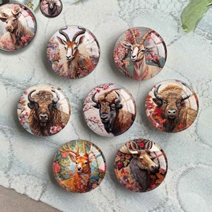 Antilope Cabochon, Yak Bild Glaskuppel, Rentier Bild, Cameo 10 mm 12 mm 14 mm 16 mm 18 mm 20 mm 25 mm 30 mm 35 mm 40 mm Glas Charms (FJ4166)