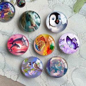 Kolibri Cabochon, Schildkröte Bild Glaskuppel, Delfin Bild Cameo, 10 mm 12 mm 14 mm 16 mm 18 mm 20 mm 25 mm 30 mm 35 mm 40 mm Glas (FJ4428)