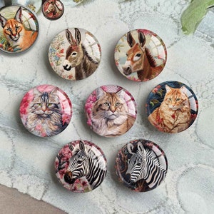 Esel Cabochon, Zebra Bild Glaskuppel, Katzen Bild Kamee, 10 mm 12 mm 14 mm 16 mm 18 mm 20 mm 25 mm 30 mm 35 mm 40 mm Tier Glas Charms (FJ4169)