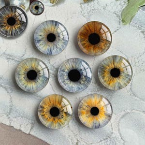 以下が含まれることがあります： 異なる色の虹彩を持つ8つの丸いガラスの目。目は黒色の瞳孔を持つ茶色、青色、灰色です。目は白い表面に円形に配置されています。