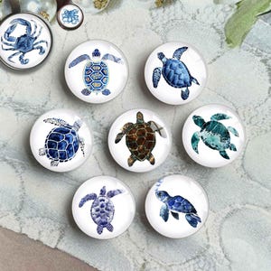 Blaue Schildkröte Cabochon, Meeresschildkröte Bild Glaskuppel, Meerestier Bild Cameo, 10 mm 12 mm 14 mm 16 mm 18 mm 20 mm 25 mm 30 mm 35 mm 40 mm (FJ5831）