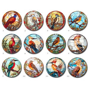 Pássaros Cabochão, Imagem de papagaio Cúpula de vidro, Imagem de vitral Camafeu, 10 mm 12 mm 14 mm 16 mm 18 mm 20 mm 25 mm 30 mm 35 mm 40 mm Vidro (FJ3882)