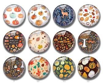Pumpkin cabochon,Autumn Fall Thanksgiving Pumpkin image Glass Cabs ,10mm 12mm 14mm 16mm 18mm 20mm 25mm 30mm 35mm 40mm Glass dome (FJ786）