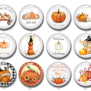 Pumpkin cabochon,Autumn Fall Thanksgiving Pumpkin snap button Bead,10mm 12mm 14mm 16mm 18mm 20mm 25mm 30mm 35mm 40mm Glass dome (FJ782）