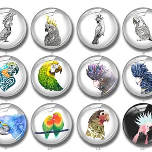 Cabochon perroquet, bouton pression cacatoès australien, 10 mm 12 mm 14 mm 16 mm 18 mm 20 mm 25 mm 30 mm 35 mm 40 mm dôme en verre image Galahs (FJ859).