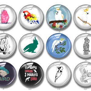 Cabochão de papagaio, botão de pressão de cacatua australiano, 10mm 12mm 14mm 16mm 18mm 20mm 25mm 30mm 35mm 40mm Cúpula de vidro de imagem Galahs (FJ858）