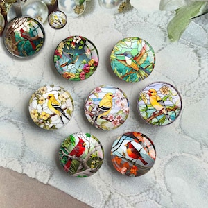 Cabochão de cardeais, imagem de pássaro amarelo, cúpula de vidro, camafeu de imagem de vitral, 10 mm 12 mm 14 mm 16 mm 18 mm 20 mm 25 mm 30 mm 35 mm 40 mm (FJ3879)