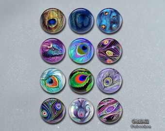 Peacock feather snap button jewewlry charm,Statement peacock glass dome cabochon accessory,10-40mm,DIY ginger snaps jewelry findings (FJ56)