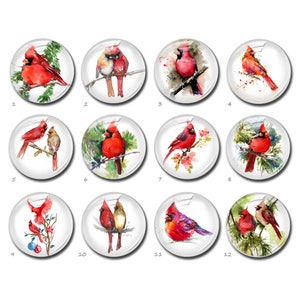 Cabochão Cardeal, Imagem Memorial do Pássaro Vermelho Cúpula de Vidro Oval Redonda em Lágrima, 10mm 12mm 25mm 40mm 10x14mm 13x18mm 20x30mm Contas de Pássaros (FJ3509 ）