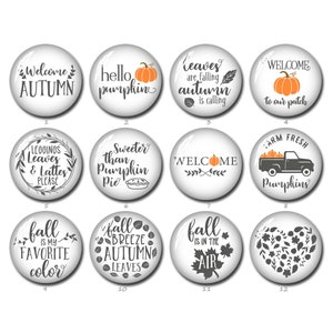 Fall Cabochon,Kürbis Zitat Bild Glaskuppel 10mm 12mm 14mm 16mm 18mm 20mm 25mm 30mm 35mm 40mm Fotoschmuck (FJ1073)