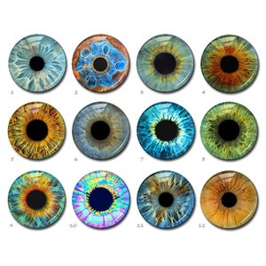 May include: Twelve different eye designs, each with a unique colour scheme and pattern. The eyes are round and have a black pupil. The designs include blue, green, brown, and yellow colours.