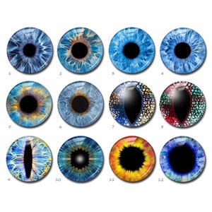 Blaue Augen Cabochon, Katzenauge Bild Glaskuppel, Puppenauge Bild Cameo, 10 mm 12 mm 14 mm 16 mm 18 mm 20 mm 25 mm 30 mm 35 mm 40 mm Glas (FJ5420)