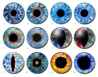 Blue Eyes Cabochon, Cat Eyeball image Glass dome, 14mm Thin Blythe Doll Eye Picture Cameo, 10mm 12mm 16mm 18mm 20mm 25mm 30mm 35mm (FJ5420 )