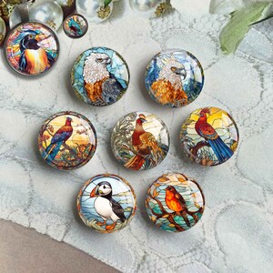Cabochão de pássaro, cúpula de vidro com imagem de papagaio-do-mar, camafeu com imagem de vitral, 10 mm 12 mm 14 mm 16 mm 18 mm 20 mm 25 mm 30 mm 35 mm 40 mm Pingente de vidro (FJ3885)