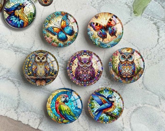 Butterfly Cabochon, Owl image Glass dome,Parrot Stained Glass Picture Cameo, 10mm 12mm 14mm 16mm 18mm 20mm 25mm 30mm 40mm Glass (FJ4056)