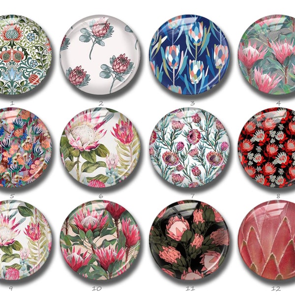 Australian Protea Cabochon,Flower Protea Bottle brush Snap Button,10mm 12mm 14mm 16mm 18mm 20mm 25mm 30mm 35mm 40mm image glass dome (FJ863）