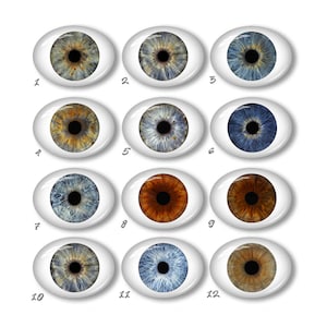 May include: Twelve different eye designs, each with a unique iris colour and pattern. The irises vary in colour from blue and green to brown and hazel, with varying degrees of detail and veining. Each eye is set against a white background.
