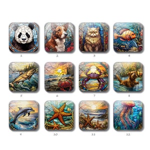 Meer Tier Quadrat Cabochon, handgemachte Bild Flache Quadrat Glaskuppel, 10 mm 12 mm 14 mm 15 mm 16 mm 18 mm 20 mm 25 mm Foto Glasmosaik Perlen (FJ3741）