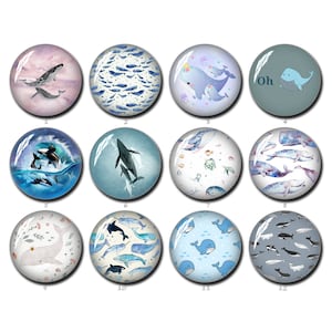 Cabochon di balena, immagine di balena oceanica, cupola di vetro, 10 mm, 12 mm, 14 mm, 16 mm, 18 mm, 20 mm, 25 mm, 30 mm, 35 mm, 40 mm, gioielli con foto di animali (FJ1069)