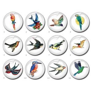 Cabochon oiseaux, dôme en verre perroquet, camée martin-pêcheur, 10 mm 12 mm 14 mm 16 mm 18 mm 20 mm 25 mm 30 mm 35 mm 40 mm bijoux photo (FJ3537）