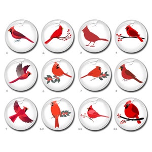 Cabochão cardinal, imagem de pássaro vermelho memorial, cúpula de vidro oval em forma de lágrima, 10 mm 12 mm 25 mm 40 mm 10 x 14 mm 13 x 18 mm 20 x 30 mm (FJ3505 ）