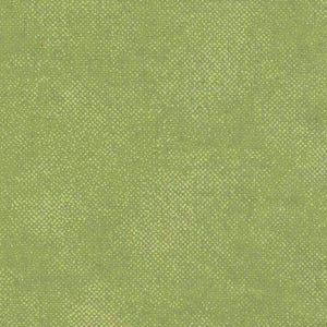 Green Tonal Cotton fabric -Screen Texture, Tea Green by Timeless Treasure- by the HALF YARD ,Continuous Cuts, Home Decor ,Quilting , sewing