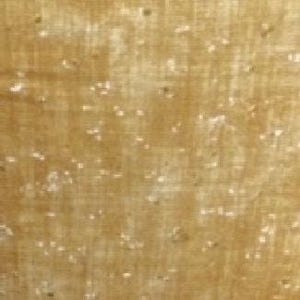 Tan Tonal with Metallic Cotton Fabric, Sounds of the woods, Robert Kaufman, Autumn, Cut 34" x 42"