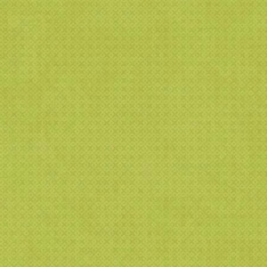 Groene kruislingse katoenstof, op maat gesneden, Wilmington-blender, ton-sur-ton, doorlopende sneden, woondecoratie, quilten, naaien