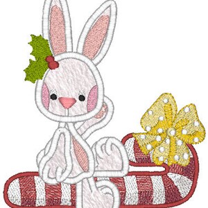 Sale-Christmas Embroidery Designs w/Mylar by Purley Gates ,Hoppy Holidays Collection NEW