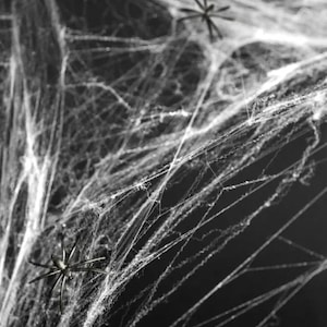 Könnte beinhalten: Ein weißes Spinnennetz mit schwarzen Plastikspinnen, eine beliebte Halloween-Dekoration.