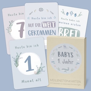 Meilensteinkarten Baby - Wal