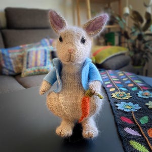 May include: A knitted bunny figurine in light gray with pink-lined ears, wearing a blue jacket and holding an orange carrot. The bunny is approximately 8 inches tall. The toy is handmade and has black eyes and a pink nose.