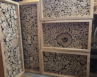 Módulo HOTELES PARA INSECTOS.