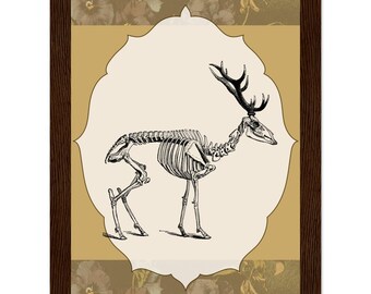 Impression encadrée étude cerf, art mural vintage histoire naturelle, décoration Woodland Cottagecore, collection Hedgerow