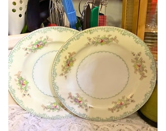 Ensemble de 2 assiettes plates Empress China EMP35 vintage, motif floral cottage