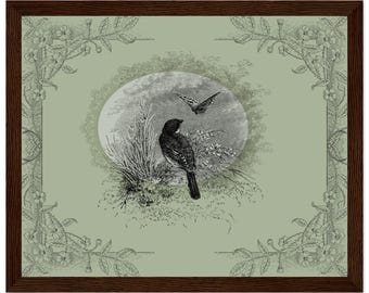 Impression encadrée Merle et papillon de nuit, art mural botanique vintage, décoration de cottage vert sauge, collection Hedgerow