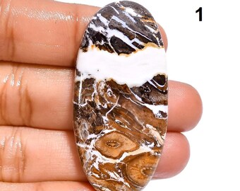 Natural Palm Root Agate Gemstone Healing Crystal, Palm Stone, Smooth Cabochon, Hand Polish Agate, Rare Agate stone,Agate Jewelry