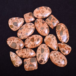 AAA quality to Natural LEOPARDITE jasper cabochon / COFFEE Jasper cabochon gemstone Natural semi Precious stone, leopardite jasper loose lot