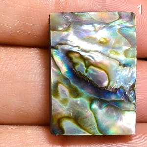 AAA++ Natural Abalone Shell Mix Shape Cabochon, Ocean Shell, Rainbow Fire Play, Abalone Shell Gemstone, abalone Shell for Jewelry