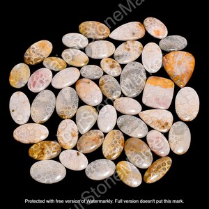 May include: A collection of 30 oval-shaped fossilized coral cabochons in various shades of white, brown, and orange. The cabochons have a unique, textured surface with a pattern of small, round holes.