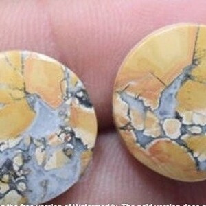 May include: Two round, yellow, orange, and grey patterned cabochons with black veins. The cabochons are approximately 2.5 cm in diameter.