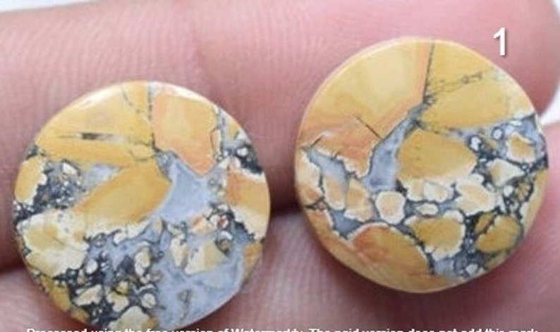 May include: Two round, yellow, orange, and grey patterned cabochons with black veins. The cabochons are approximately 2.5 cm in diameter.